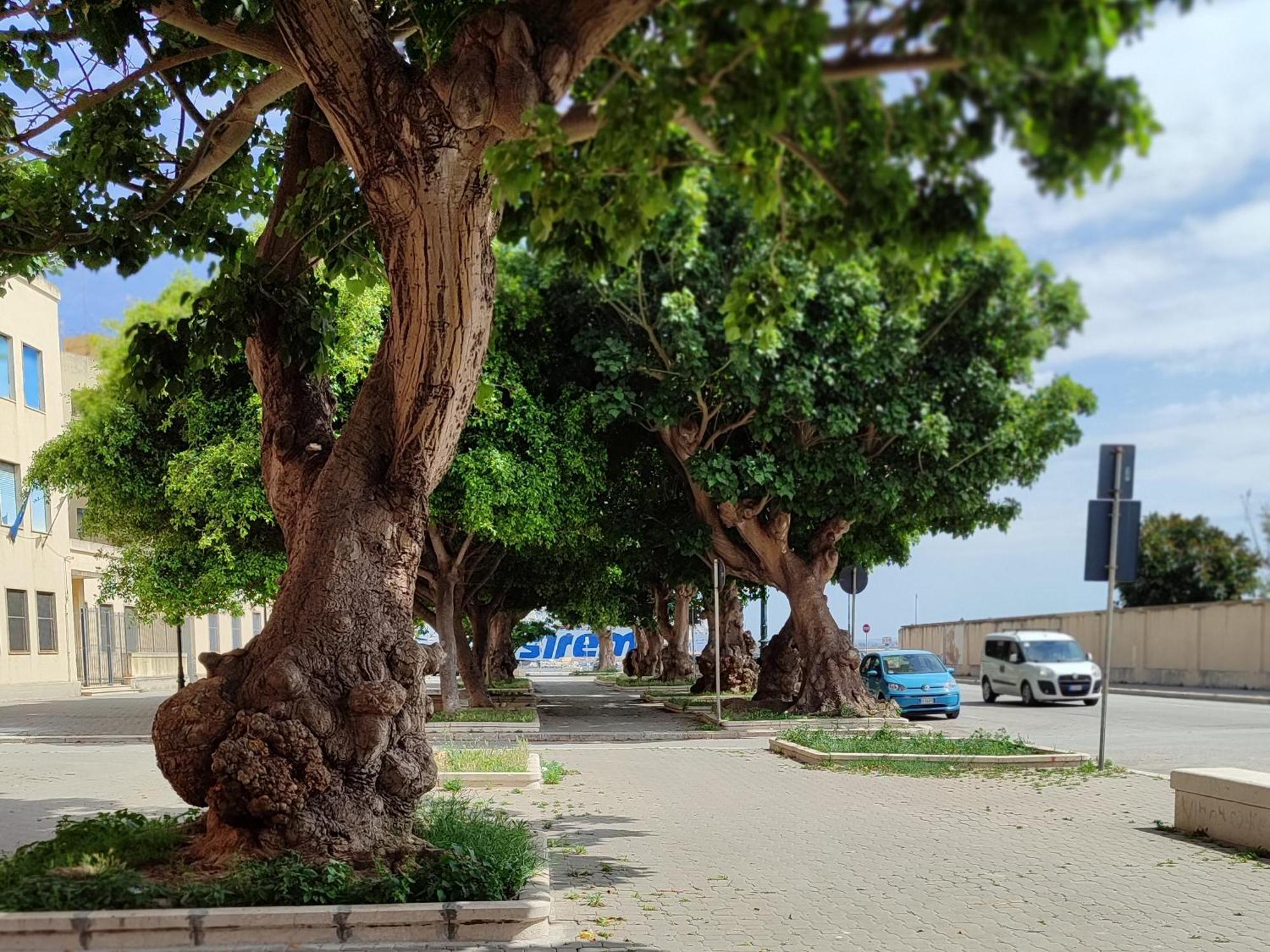 Alla Marina Da Pina トラーパニ エクステリア 写真